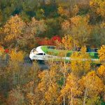 大多区GO火车同地点月内二度撞死人