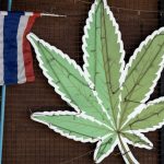 泰国大麻取消合法化 限医疗用途可处方治15种症状