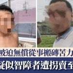 河北疑似智障者遭拐卖至山西黑厂 被迫无偿从事搬砖苦力
