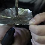卑诗支持性住房设施内 二手芬太尼烟雾严重超标