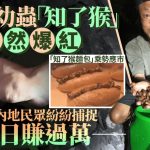 捉虫特攻|内地“金蝉猎人”日赚过万 “知了猴”面包卖¥22/个