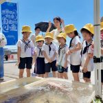 少子化衝擊 去年2萬所幼稚園關停
