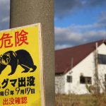 日本连环“熊出没”︱青森七旬妇遇袭受伤 北海道“杀人熊”疑再现