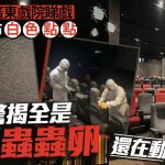 座椅驚現白色蟲卵蠕動 戲院向女觀眾道歉並退票