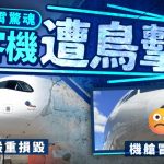 九霄驚魂 | 西班牙客機高空遭鳥擊 機頭撞出大洞冒煙 乘客恐慌急扯氧氣罩