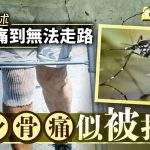 基孔肯雅熱︱南京患者憶述痛到不能走 「全身骨痛像被人打過」