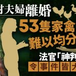 四川夫妻離婚53隻家禽難分難解 法官一個神宣判搞掂