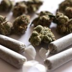 特朗普据报考虑放宽大麻限制 图吸引更多选民