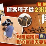 骆驼受惊摔下母子 母被踢到头破血流 幸遇医护夫妻紧急施救