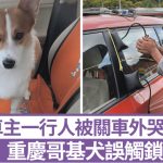 顽皮哥基犬锁车门车主进不了 与开锁师傅大斗法|有片