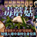毒蘑菇|蘇州「越野跑大神」誤食去世 知情人:中毒時全身發黑