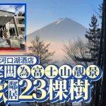 河口湖酒店|华裔老板为富士山靓景砍邻居树 判刑1年缓刑3年