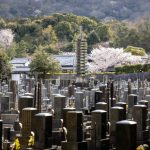无缘社会|仅12%公墓有亲属资讯 日本神户试推15年“定期墓地”