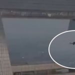 無人機空難︱上海環球金融中心樓頂互撞 殘骸滿布96樓平台︱有片