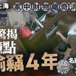 上流寄生族︱2钟点“蚂蚁搬家”底裤照偷 屋主崩溃:¥65万彩钻卖¥2万
