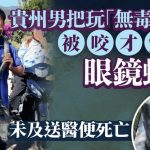 大叔把玩“无毒花蛇”穿裤管身亡 被揭剧毒眼镜王蛇夺命|有片
