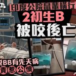 有片|印度中部公立医院鼠患失控 2新生婴被咬亡震惊全国