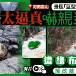 “巨型蛇头”彩绘石太逼真游客吓亲 景区拟改绘其他样式|有片