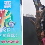 湖南创波飞新玩法“树上挂票” 官方:限重80kg有鸟屎袭击风险