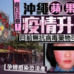 游日注意 | 冲绳苹果病疫情响警报 孕妇感染恐流产