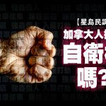 【星岛民调】加拿大人有权自卫吗?