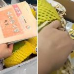 呃秤?︱芒果纸箱暗藏旧课本+试卷 网民调侃:断六亲礼盒