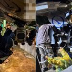 北京環球度假區︱機動遊戲故障飄燒焦味 遊客雨中半天吊驚魂30分鐘