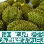 德國商場住宅疑漏煤氣市民1日報4次警 消防:亞洲水果惹禍!