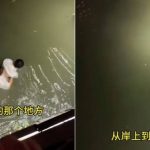 求誇誇︱杭州男冒險落水救人受傷 遇溺女一舉動掀「恩將仇報」激辯︱有片