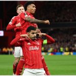 欧霸|森林回复水准 远征“格”杀勿论