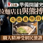 日本熊出没︱拉面店员遇熊袭“直接甩走” 负伤仍继续准备食材惊呆网民