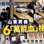 狗血ATM︱寵物輸血利潤豐厚 山東男養6「萬能血」犬每毫升售¥15