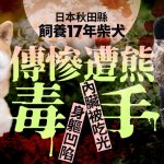 日本熊出沒|禍延寵物頻傳遭攻擊獵殺 飼主起床驚見家中柴犬被吃光內臟