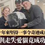 爱猫走失十年竟重逢 美汉多年坚持一事令奇迹成真:以为是诈骗