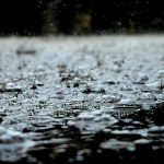 【多倫多天氣】今晨微雨 最高氣溫10度 晚間降至負1度