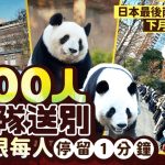 東京大熊貓回中國 1600「粉絲」涌動物園道別 園方限每人停留1分鐘
