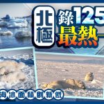 地球暖化︱北極經歷125年來最熱一年 海冰面積創新低