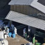日本禽流感 | 首都圈今季首爆疫情 将扑杀24万只鸡