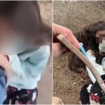 校園欺凌|日本女生下跪遭踢面踩頭 網民震怒起底4名加害者