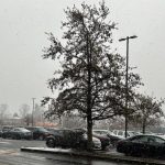 大温周初迎来好天气 周二下雨这几个地区或会降雪