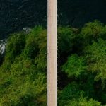 「世界最美麗橋樑」公布 加拿大這座橋驚艷全球