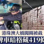 港珠澳大橋|粵港兩地牌車暗格藏419條私煙 X光下無所遁形斷正|有片