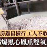 3·15晚會|踢爆黑心鳳爪雙氧水漂白 廠房蟲鼠橫行 工人自己不敢吃