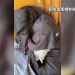 擺拍「深山救助流浪女」 3人被央視揭發遭行拘