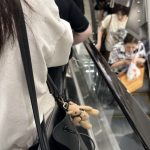 南韓蛇蠍女|疑似出現模仿犯 約會4男落葯偷近26萬港元