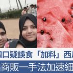 印度一家四口疑误食“加料”西瓜 12小时内相继病发亡 专家推测祸因