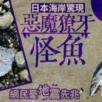 日本海岸驚現「惡魔獠牙怪魚」 網民憂地震先兆