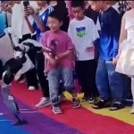 宇树科技︱机械人新疆“卖武”失手 Side Kick踢低男童︱有片
