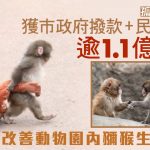 孤独Punch君|爆红后待遇升级 官民集资逾亿日圆改善生活环境
