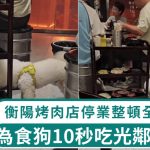 宠物犬挣脱狗带10秒吃光邻桌生肉 衡阳烤肉店停业整顿全面消毒